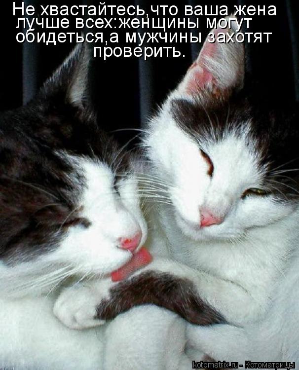 Не хвастайтесь,что ваша жена лучше всех:женщины могут обидеться,а мужчины захотят проверить.... Котоматрица: Не хвастайтесь,что ваша жена лучше всех:женщины могут обидеться,а мужчины захотят проверить.