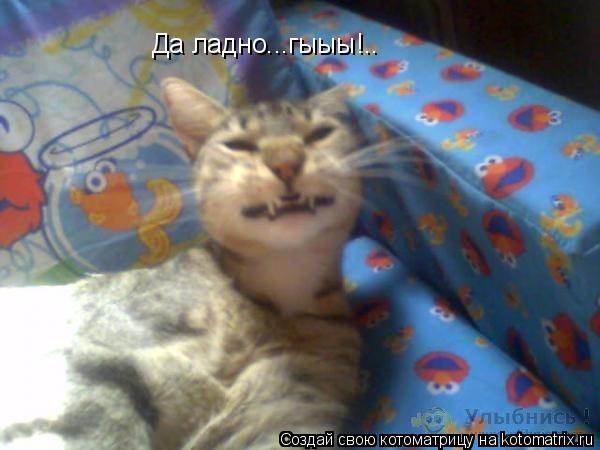Да ладно...гыыы!..... Котоматрица: Да ладно...гыыы!..