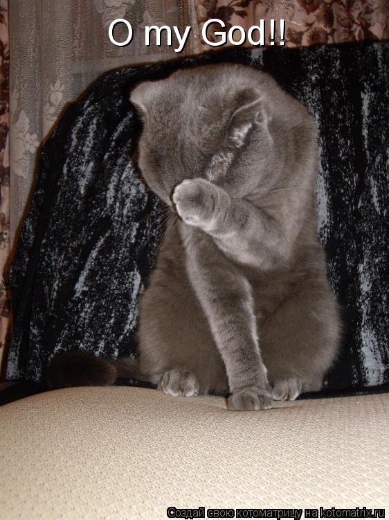 O my God!!... Котоматрица: O my God!!