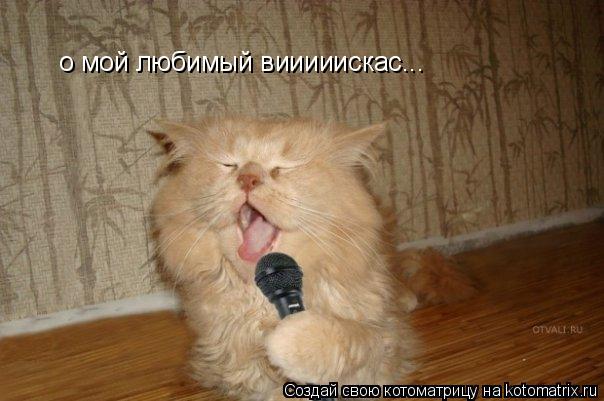 о мой любимый вииииискас...... Котоматрица: о мой любимый вииииискас...