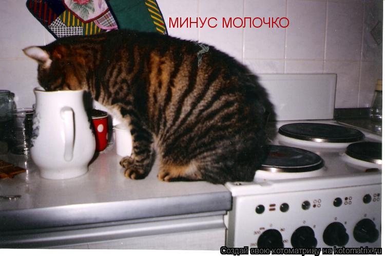 - МИНУС МОЛОЧКО... Котоматрица: - МИНУС МОЛОЧКО