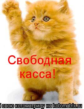 Свободная касса!... Котоматрица: Свободная касса!