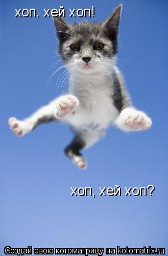 хоп, хей хоп! хоп, хей хоп?... Котоматрица: хоп, хей хоп! хоп, хей хоп?