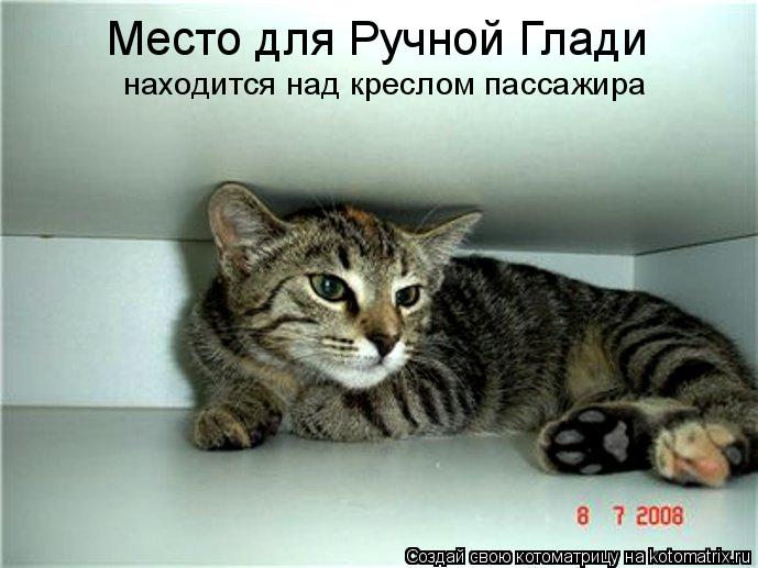 Место для Ручной Глади находится над креслом пассажира... Котоматрица: Место для Ручной Глади находится над креслом пассажира