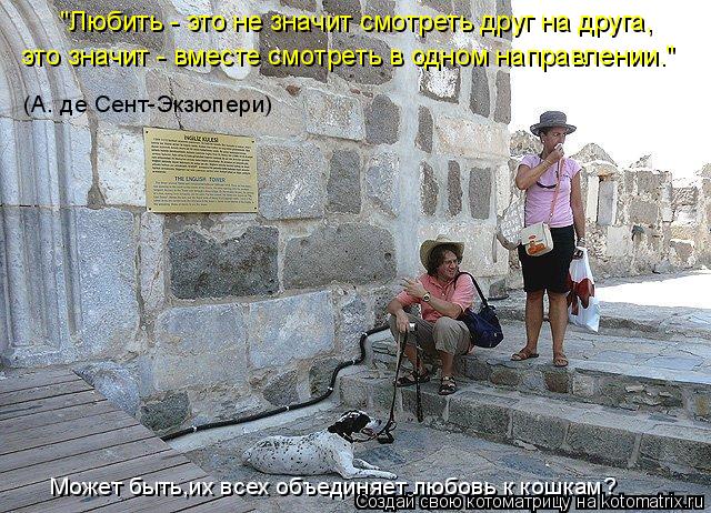 "Любить - это не значит смотреть друг на друга, это значит - вместе смотреть в одном направлении." (А... Котоматрица: "Любить - это не значит смотреть друг на друга, это значит - вместе смотреть в одном направлении." (А. де Сент-Экзюпери) Может быть,их всех объе