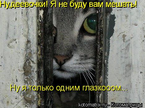 Ну,деевочки! Я не буду вам мешать! Ну,деевочки! Я не буду вам мешать! Ну я только одним глазкооом...... Котоматрица: Ну,деевочки! Я не буду вам мешать! Ну,деевочки! Я не буду вам мешать! Ну я только одним глазкооом...
