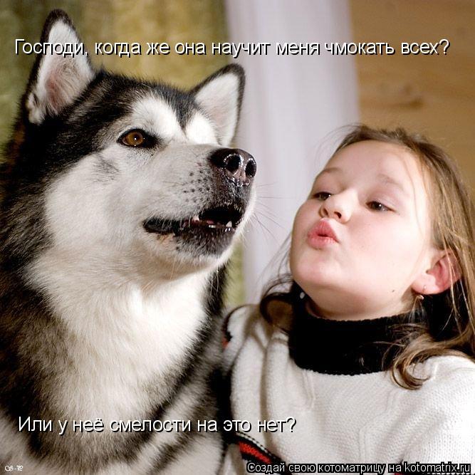Котоматрица: Господи, когда же она научит меня чмокать всех? Или у неё смелости на это нет?