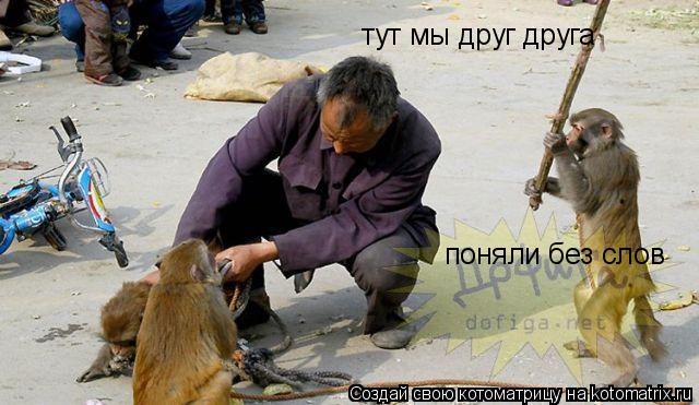 тут мы друг друга поняли без слов... Котоматрица: тут мы друг друга поняли без слов