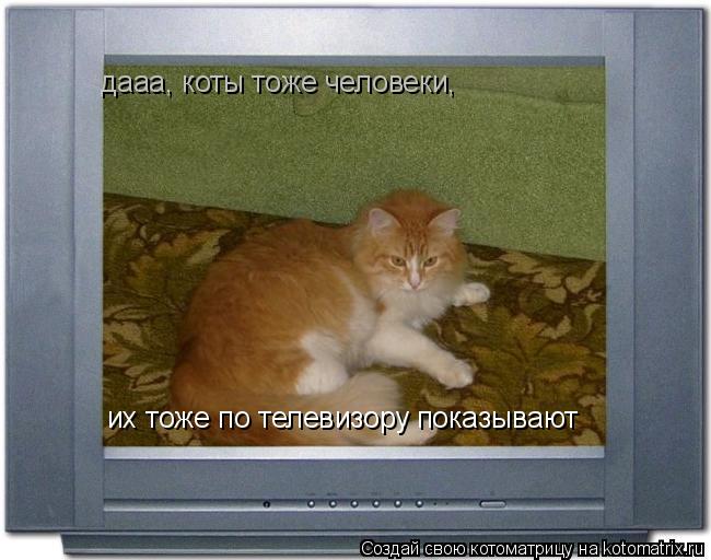 дааа, коты тоже человеки, их тоже по телевизору показывают... Котоматрица: дааа, коты тоже человеки, их тоже по телевизору показывают