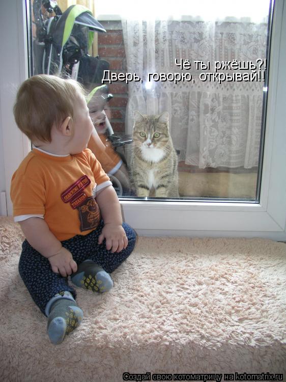 Чё ты ржёшь?! Дверь, говорю, открывай!!... Котоматрица: Чё ты ржёшь?! Дверь, говорю, открывай!!