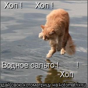 Хоп ! Хоп ! Водное сальто ! ! Хоп... Котоматрица: Хоп ! Хоп ! Водное сальто ! ! Хоп