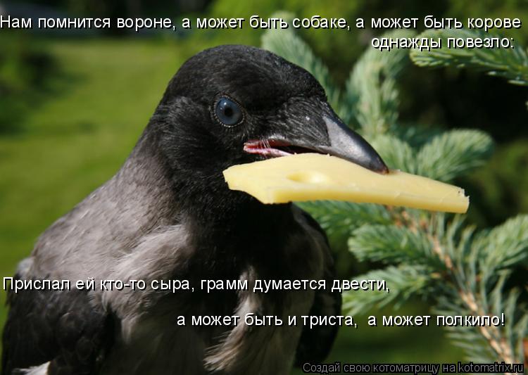 Нам помнится вороне, а может быть собаке, а может быть корове однажды повезло: Прислал ей кто-то сы... Котоматрица: Нам помнится вороне, а может быть собаке, а может быть корове однажды повезло: Прислал ей кто-то сыра, грамм думается двести, а может быть и