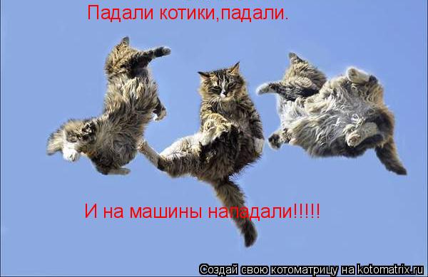 Котоматрица: Падали котики,падали.  И на машины нападали!!!!!