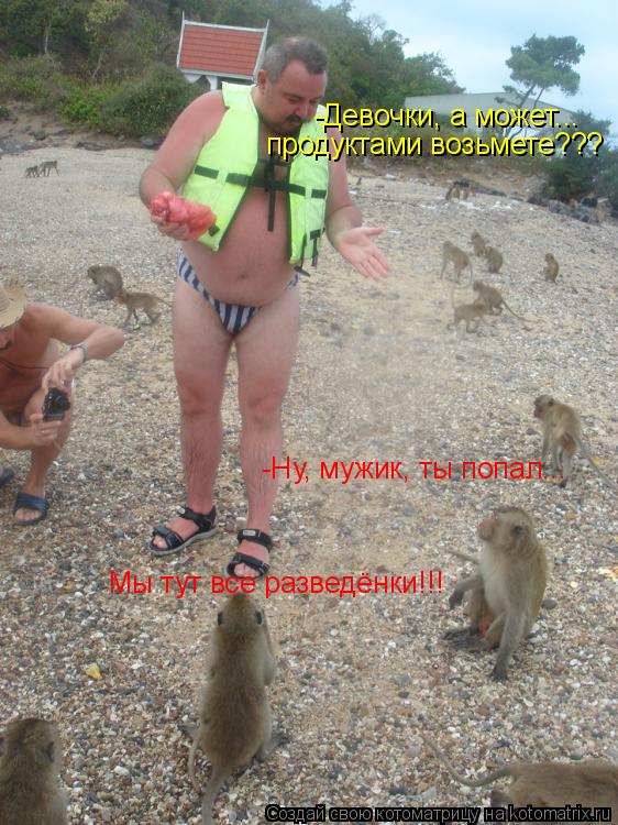 -Ну, мужик, ты попал... Мы тут все разведёнки!!! -Девочки, а может... продуктами возьмете???... Котоматрица: -Ну, мужик, ты попал... Мы тут все разведёнки!!! -Девочки, а может... продуктами возьмете???