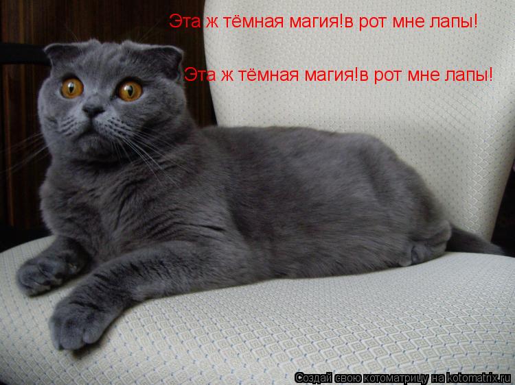 Эта ж тёмная магия!в рот мне лапы! Эта ж тёмная магия!в рот мне лапы!... Котоматрица: Эта ж тёмная магия!в рот мне лапы! Эта ж тёмная магия!в рот мне лапы!