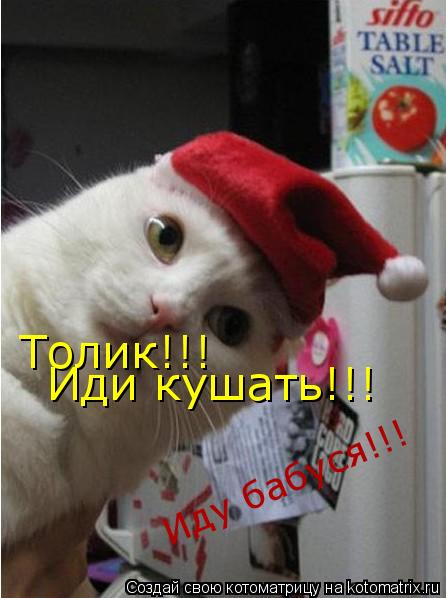 Толик!!! Иди кушать!!! Иду бабуся!!!... Котоматрица: Толик!!! Иди кушать!!! Иду бабуся!!!