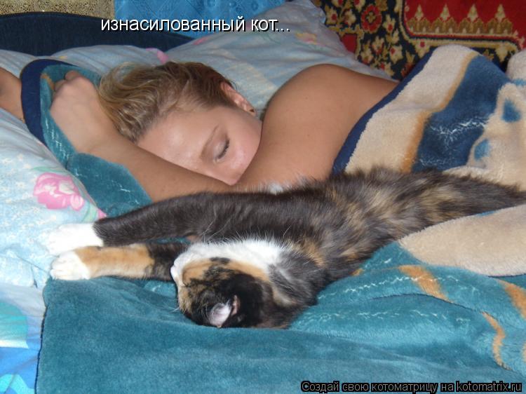 изнасилованный кот...... Котоматрица: изнасилованный кот...