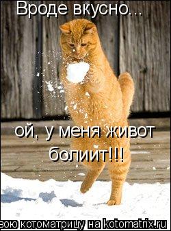 Вроде вкусно... ой, у меня живот болиит!!!... Котоматрица: Вроде вкусно... ой, у меня живот болиит!!!