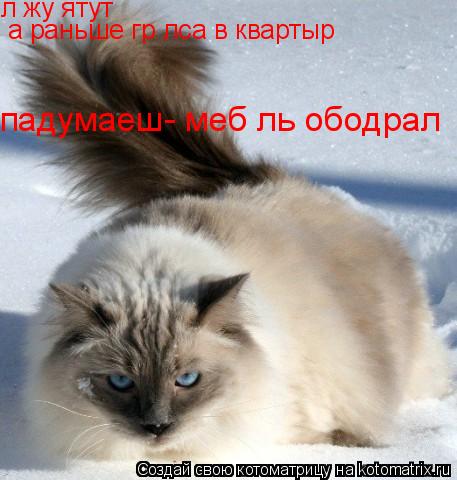 лєжу ятут а раньше грєлса в квартырє падумаеш- мебєль ободрал... Котоматрица: лєжу ятут а раньше грєлса в квартырє падумаеш- мебєль ободрал