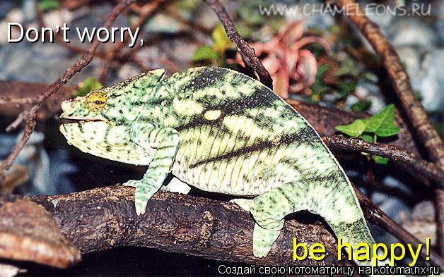 , be happy! Don t worry,... Котоматрица: , be happy! Don t worry,