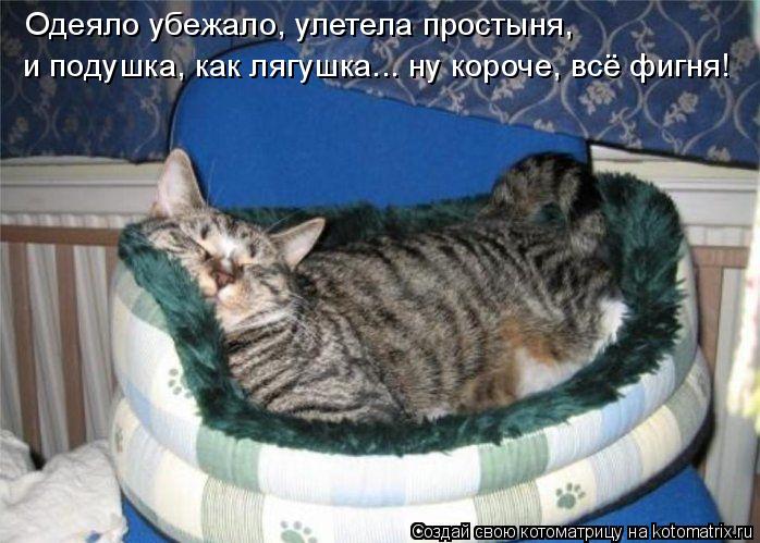 Одеяло убежало, улетела простыня, и подушка, как лягушка... ну короче, всё фигня!... Котоматрица: Одеяло убежало, улетела простыня, и подушка, как лягушка... ну короче, всё фигня!