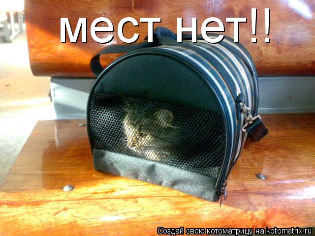мест нет!!... Котоматрица: мест нет!!