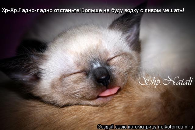 Хр-Хр.Ладно-ладно отстаньте!Больше не буду водку с пивом мешать!... Котоматрица: Хр-Хр.Ладно-ладно отстаньте!Больше не буду водку с пивом мешать!