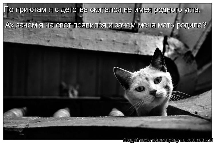 По приютам я с детства скитался,не имея родного угла. Ах,зачем я на свет появился,и зачем меня мать р... Котоматрица: По приютам я с детства скитался,не имея родного угла. Ах,зачем я на свет появился,и зачем меня мать родила?