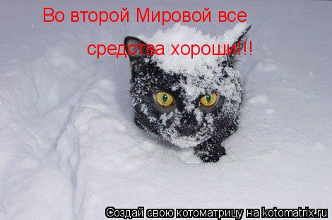 Во второй Мировой все средства хороши!!!... Котоматрица: Во второй Мировой все средства хороши!!!