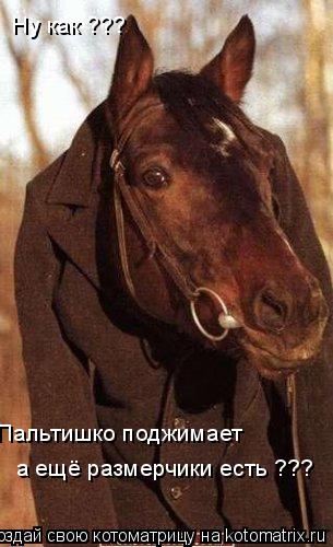 Пальтишко поджимает а ещё размерчики есть ??? Ну как ???... Котоматрица: Пальтишко поджимает а ещё размерчики есть ??? Ну как ???