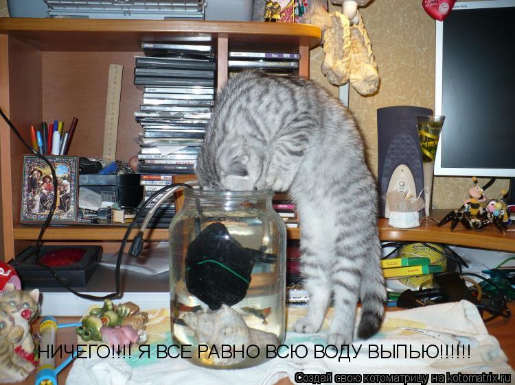 НИЧЕГО!!!! Я ВСЕ РАВНО ВСЮ ВОДУ ВЫПЬЮ!!!!!!... Котоматрица: НИЧЕГО!!!! Я ВСЕ РАВНО ВСЮ ВОДУ ВЫПЬЮ!!!!!!
