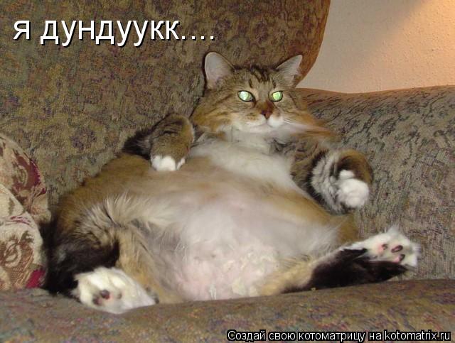 я дундуукк....... Котоматрица: я дундуукк....