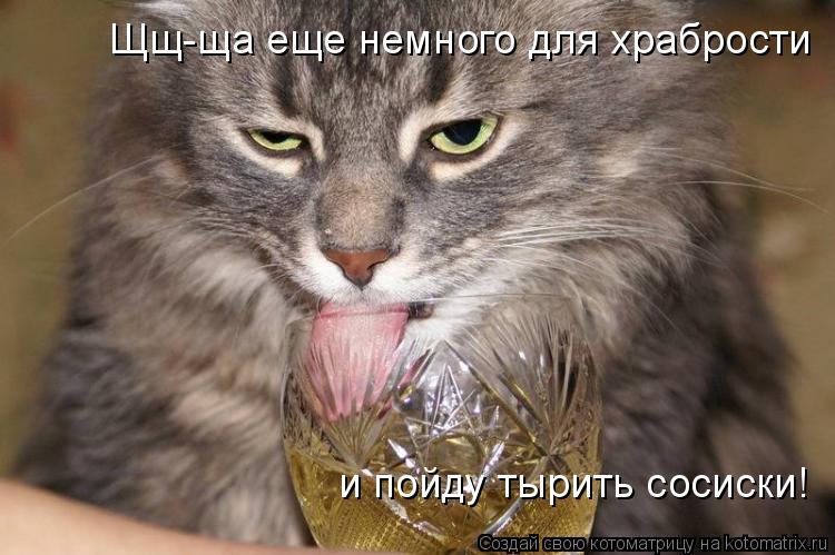 Щщ-ща еще немного для храбрости и пойду тырить сосиски!... Котоматрица: Щщ-ща еще немного для храбрости и пойду тырить сосиски!