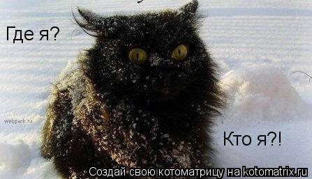 Где я? Кто я?!... Котоматрица: Где я? Кто я?!