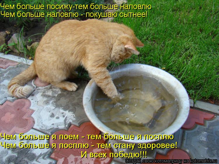 Чем больше посижу-тем больше наловлю Чем больше наловлю - покушаю сытнее! Чем больше я поем - тем бол... Котоматрица: Чем больше посижу-тем больше наловлю Чем больше наловлю - покушаю сытнее! Чем больше я поем - тем больше я посплю Чем больше я посплю - тем ста