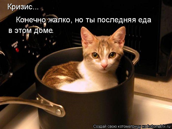 Кризис... Конечно жалко, но ты последняя еда в этом доме .... Котоматрица: Кризис... Конечно жалко, но ты последняя еда в этом доме .