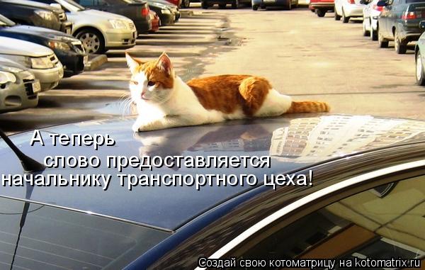 А теперь слово предоставляется начальнику транспортного цеха!... Котоматрица: А теперь слово предоставляется начальнику транспортного цеха!