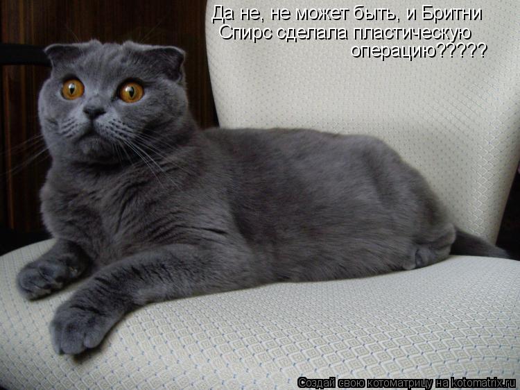 Да не, не может быть, и Бритни Спирс сделала пластическую операцию?????... Котоматрица: Да не, не может быть, и Бритни Спирс сделала пластическую операцию?????