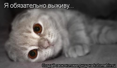 Я обязательно выживу...... Котоматрица: Я обязательно выживу...