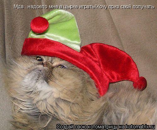 Мда...надоело мне в цырке играть!Хочу приз свой получать... Котоматрица: Мда...надоело мне в цырке играть!Хочу приз свой получать