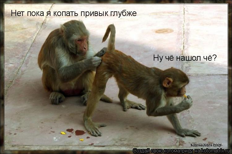 Ну чё нашол чё? Нет пока я копать привык глубже... Котоматрица: Ну чё нашол чё? Нет пока я копать привык глубже