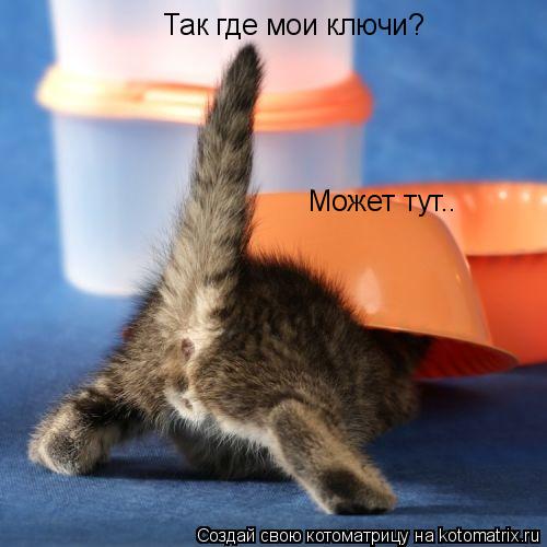Так где мои ключи? Может тут..... Котоматрица: Так где мои ключи? Может тут..