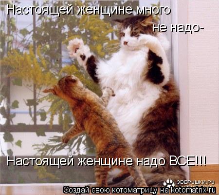 Настоящей женщине много не надо- Настоящей женщине надо ВСЕ!!!... Котоматрица: Настоящей женщине много не надо- Настоящей женщине надо ВСЕ!!!