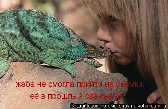 жаба не смогла прийти на сьемки. её в прошлый раз сьели... Котоматрица: жаба не смогла прийти на сьемки. её в прошлый раз сьели