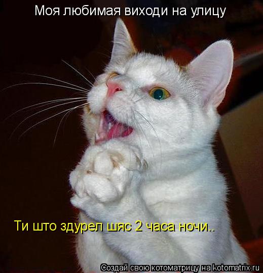Моя любимая виходи на улицу Ти што здурел шяс 2 часа ночи..... Котоматрица: Моя любимая виходи на улицу Ти што здурел шяс 2 часа ночи..
