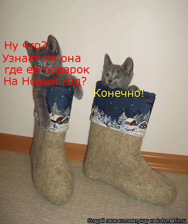 Ну что? Узнает ли она где её подарок На Новый год? Конечно!... Котоматрица: Ну что? Узнает ли она где её подарок На Новый год? Конечно!
