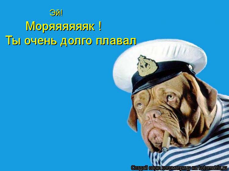 Эй! Эй! Моряяяяяяк ! Ты очень долго плавал... Котоматрица: Эй! Эй! Моряяяяяяк ! Ты очень долго плавал