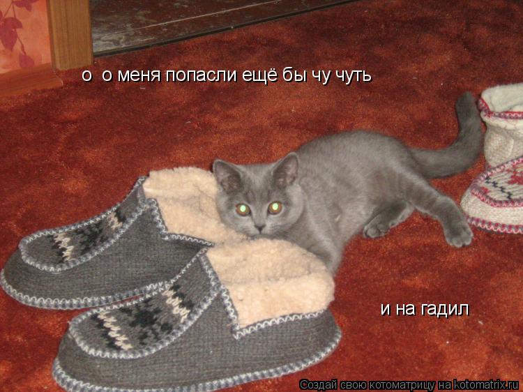 о о меня попасли ещё бы чу чуть о о меня попасли ещё бы чу чуть и на гадил и на гадил... Котоматрица: о о меня попасли ещё бы чу чуть о о меня попасли ещё бы чу чуть и на гадил и на гадил