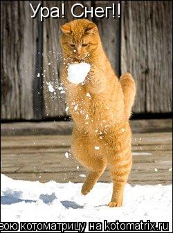 Ура! Снег!!... Котоматрица: Ура! Снег!!