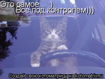 Это самое... ;) Все под контролем)))... Котоматрица: Это самое... ;) Все под контролем)))